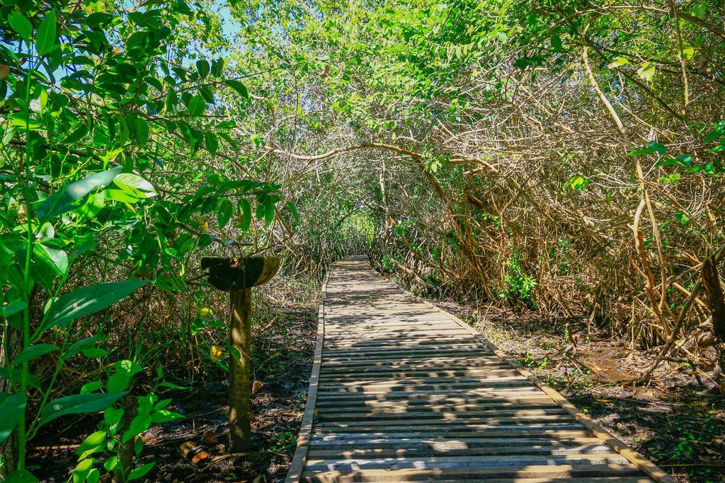 Pousada Ecologica Bangalo De Praia Itacimirim Quarto foto